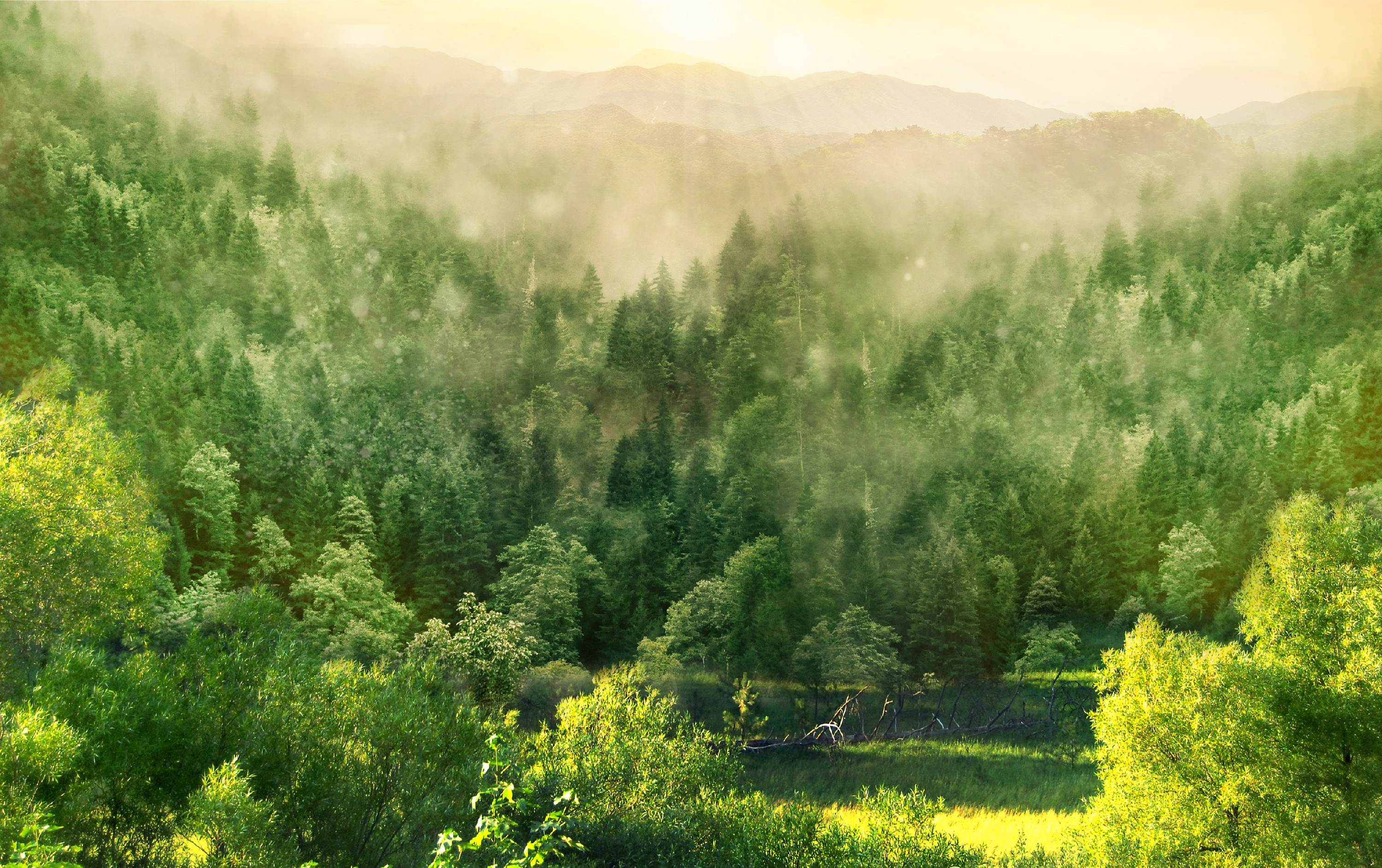 Jiangsu Bofang New Energy Technology Co., Ltd.